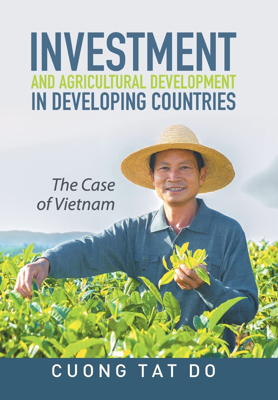 Investment and Agricultural Development in Developing Countries: The Case of Vietnam