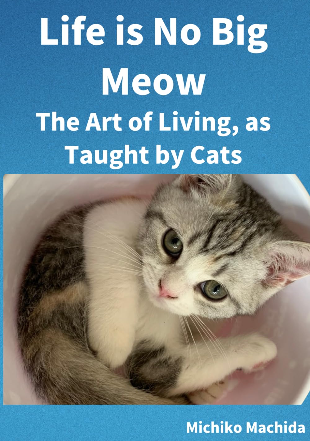 Life is No Big Meow The Art of Living, as Taught by Cats