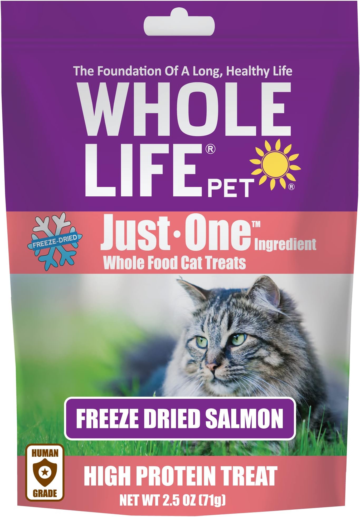 Whole Life Pet Just One Salmon Dog Treat Or Topper
