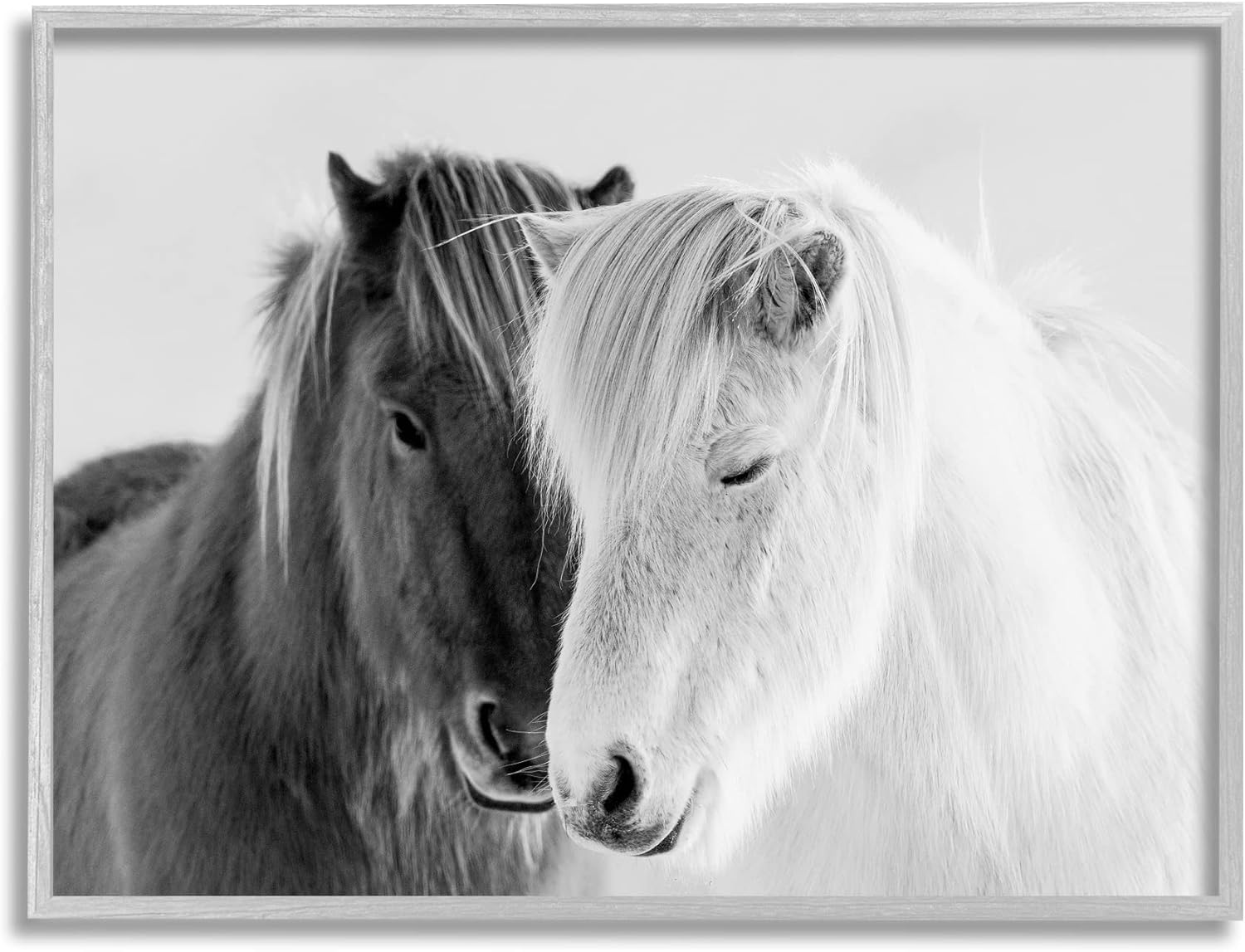 Stupell Industries Wild Horse Animal Pair Black White Southwestern Photograph, Designed by Danita Delimont Gray Framed Wall Art, 30 x 24, Grey