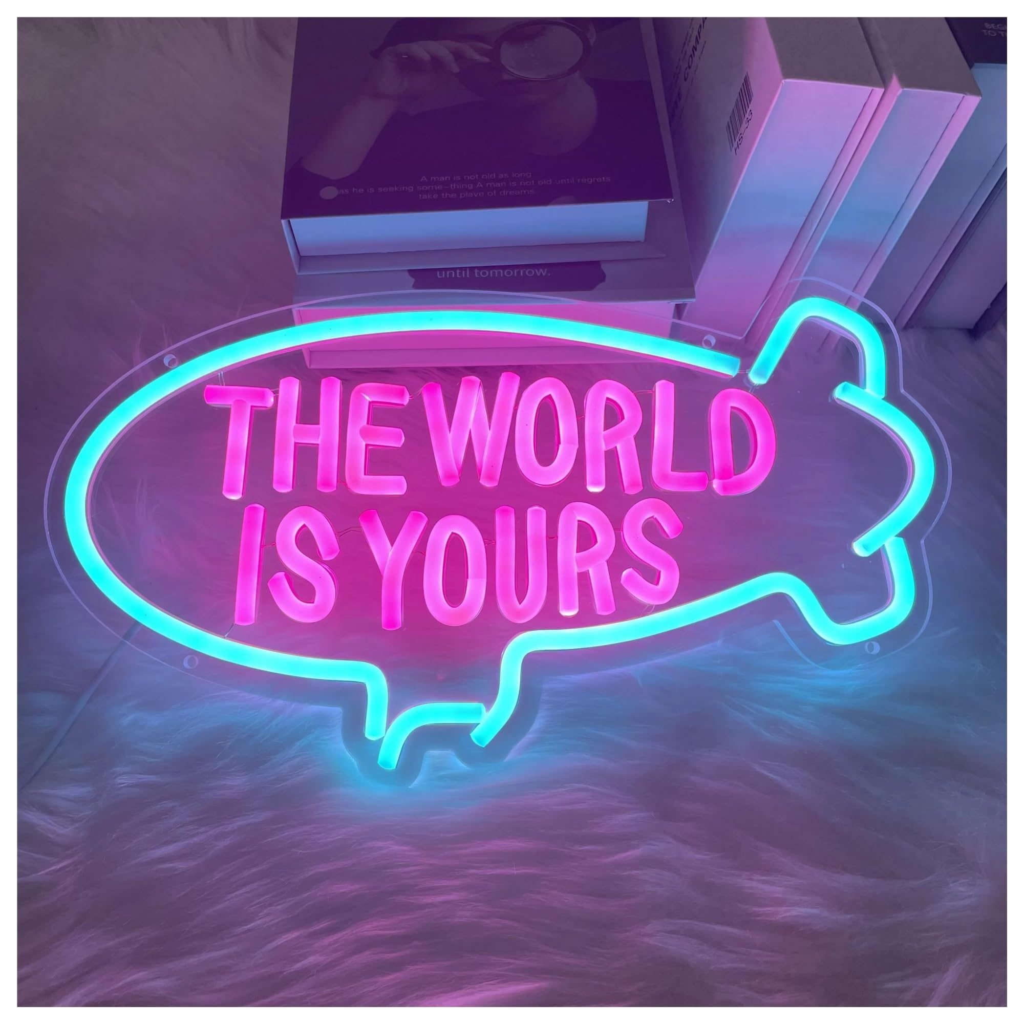 SHOUXI Sign Lamp The World is Yours Neon Sign USB Dimmer for Girls Kids Bedroom Bar Beer Club Shop Wall Art Hanging Decor 42cmх23cm(C)