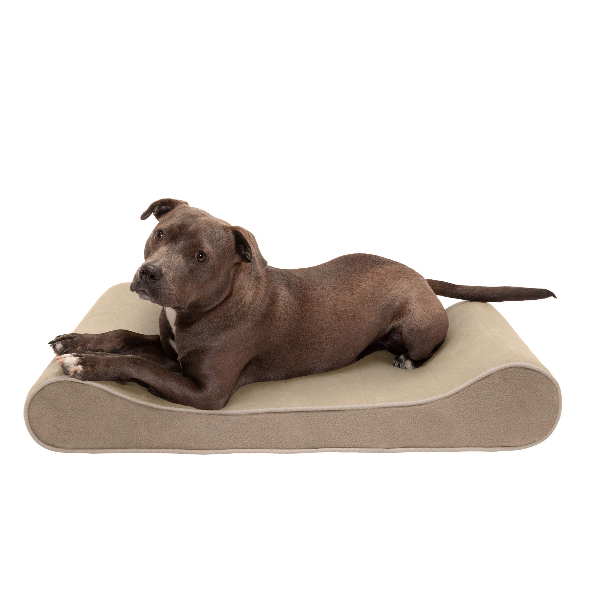 A closer look at Foam Dog Beds With Ergonomic Supports For Joints