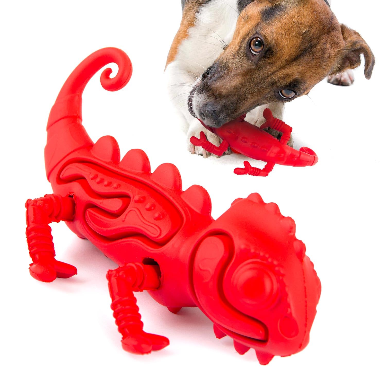 Jouet interactif pour chien idéal pour jouer au parc en été