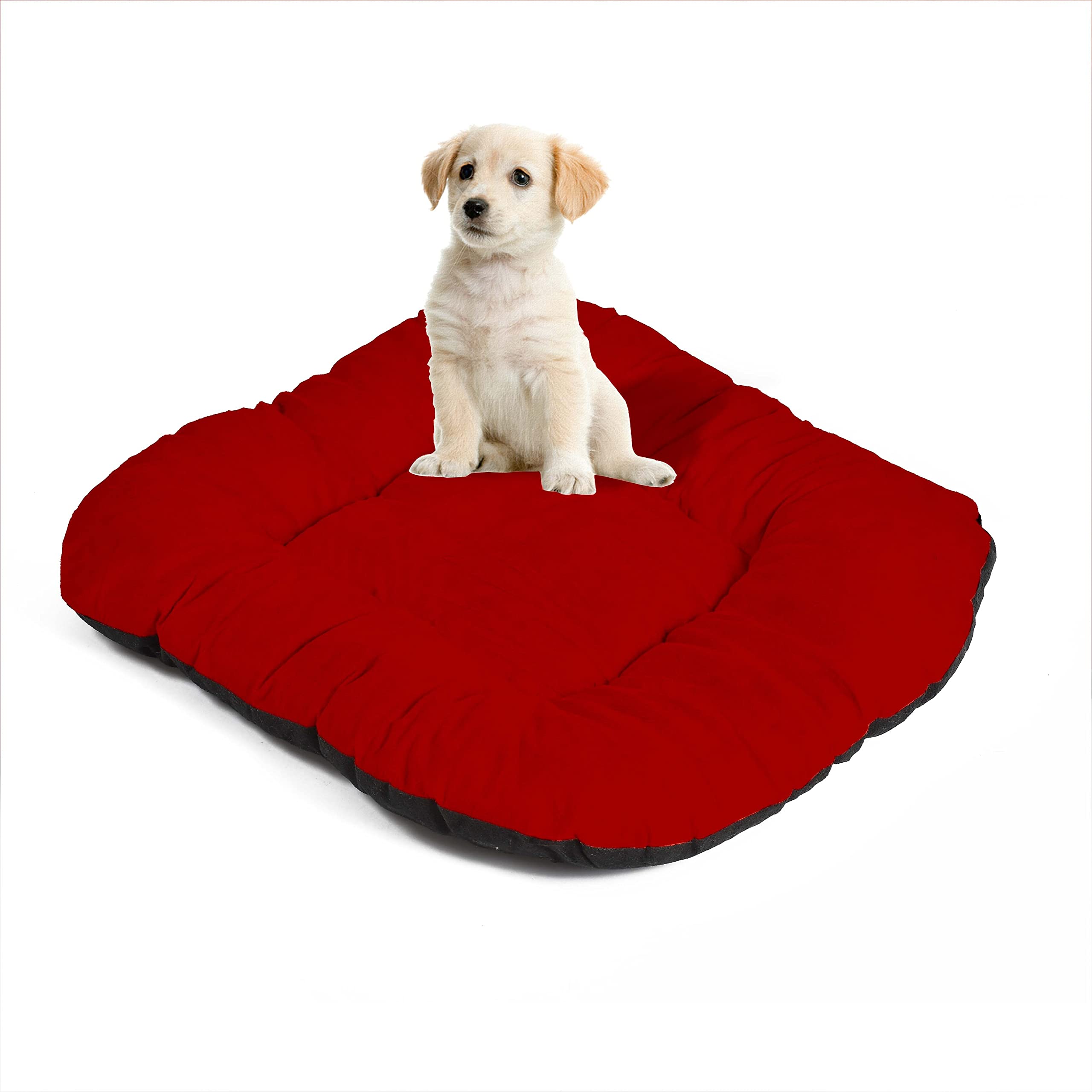 M-TEXITO Dog Bed, Cat Beds for Indoor Cats, Pet Bed for Puppy and Kitty, Extra Soft & Machine Washable (S, Maroon) (B0C2CWS1Y2) Amazon Price History, Amazon Price Tracker