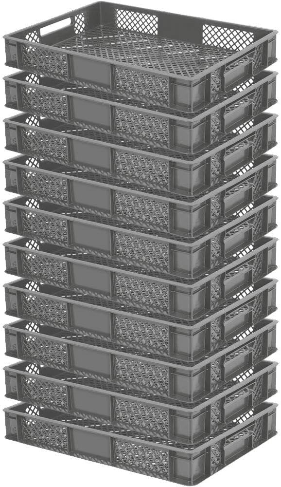 Bac En Plastique Pour Fruits Et Légumes Perforé 60x40x18 Cm