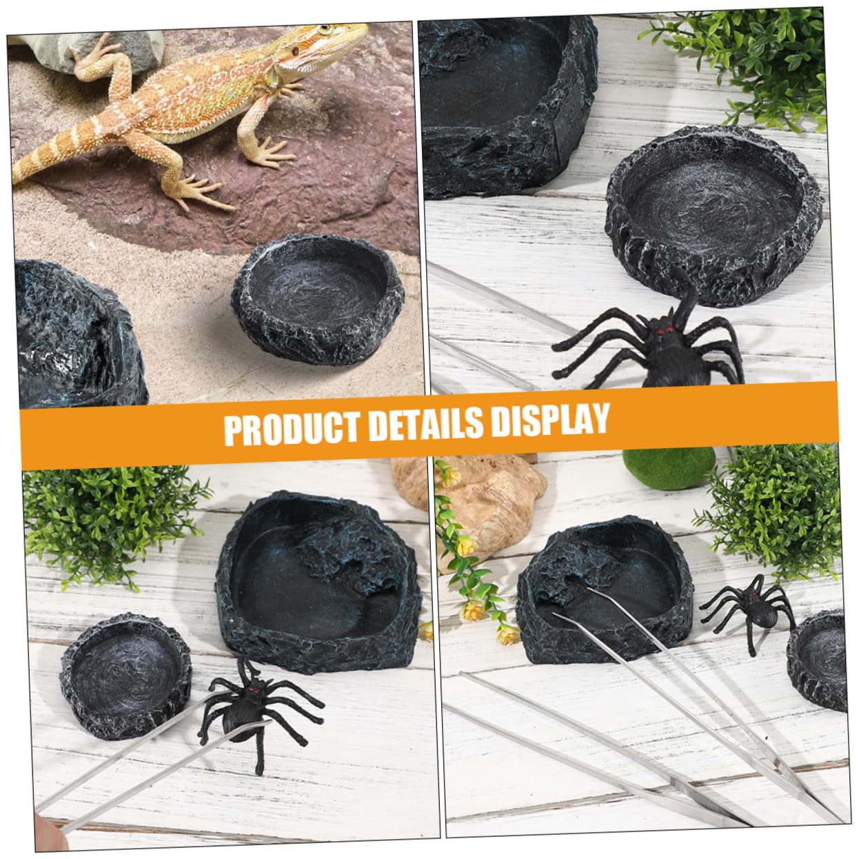 1set Ciotole per Cibo per Rettili con Pinze Curvate Ciotola per Tartarughe e Drago Barbuto Accessori per Terrario Alimentazione Sicura e Comoda per Rettili Ciotola Spaziosa per