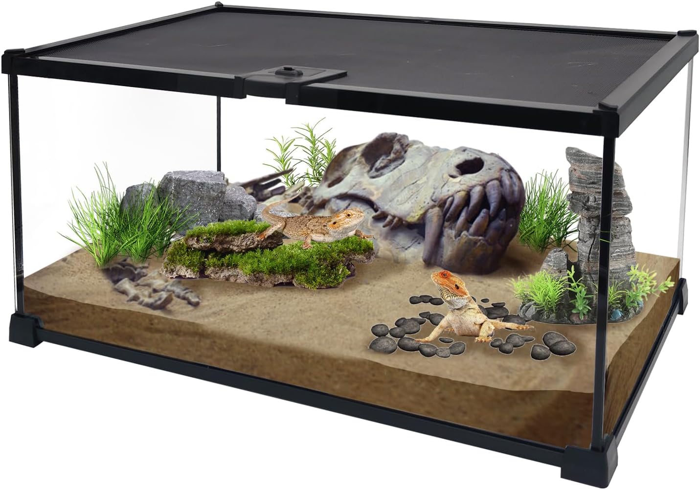 Reptile Glass Terrarium Kit,8