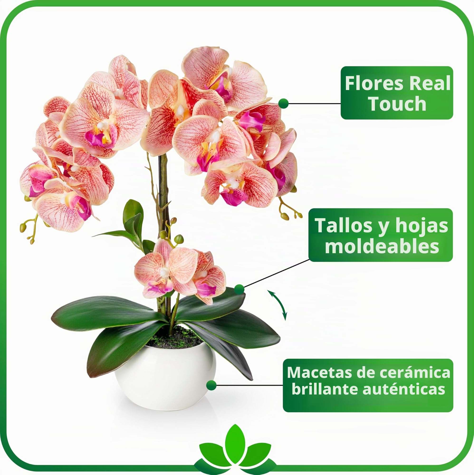 PASCH Orquídeas Artificiales en Maceta de Cerámica Brillante (40 cm) | Flores Artificiales Como las Reales