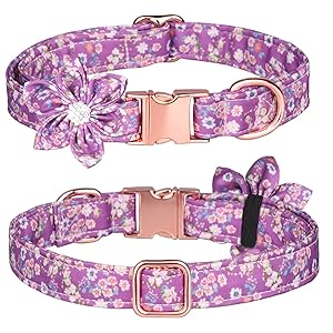 TDTOK Girl Dog Collar with Detachable Flower, Safety Metal Buckle Floral Pattern Soft Comfy Cotton Pet Collars for Small Medium Large Dogs, Fit Necks 10.2-23.6