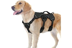 rabbitgoo Master Webmaster Escape Proof Dog Harness