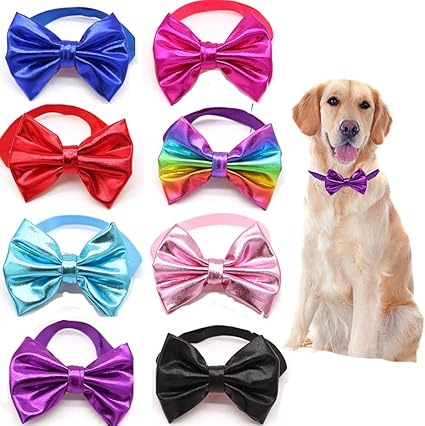 small dog accessories amazon