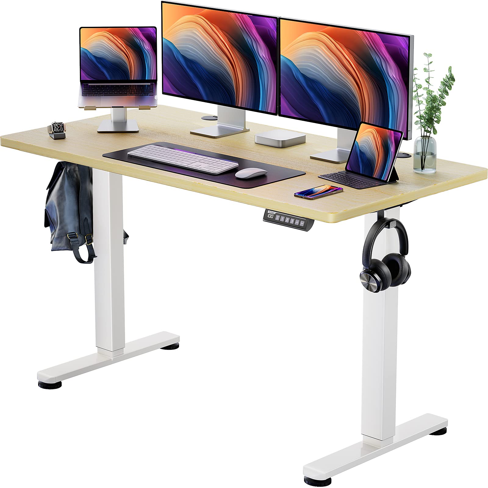 ErGear Height Adjustable Electric Standing Desk, 55 x 28 Inches Sit Stand up Desk, Memory Computer Home Office Desk (Natural)
