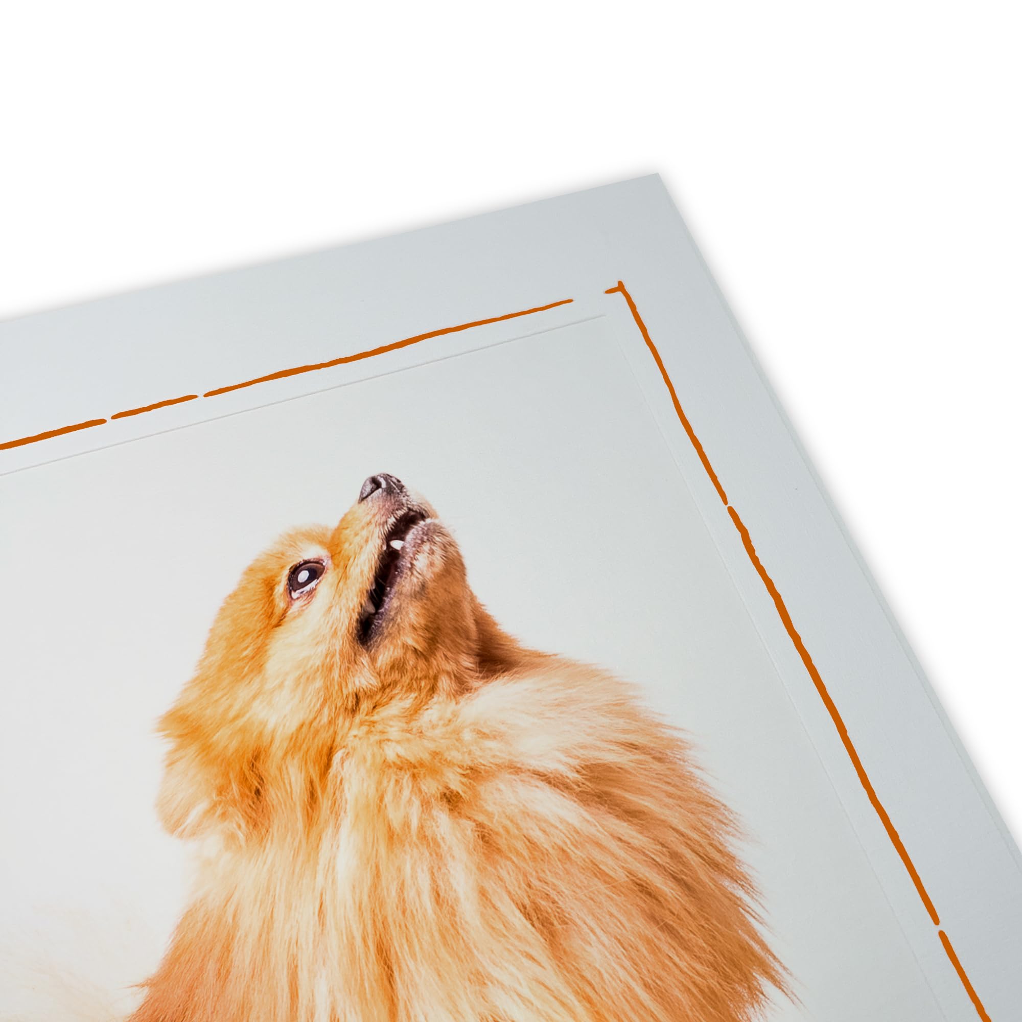 100 Stück Endlosleporello für Fotos 13x18 cm (Hochformat) in weiß, Umrandung in Orange, nach Bedarf teilbar