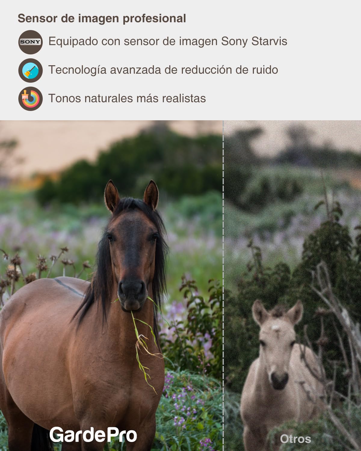 GardePro A5 Câmara de Caça 64MP 1296P H.264 Vidéo, Camara Fototrampeo con Alcance de Visión Nocturna de 30m y 0,1s Tiempo de Activación, LED IR de 940 NM No-Glow, IP66