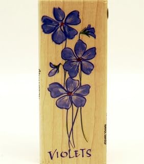 Hampton Art Rubber Stamp - Violets