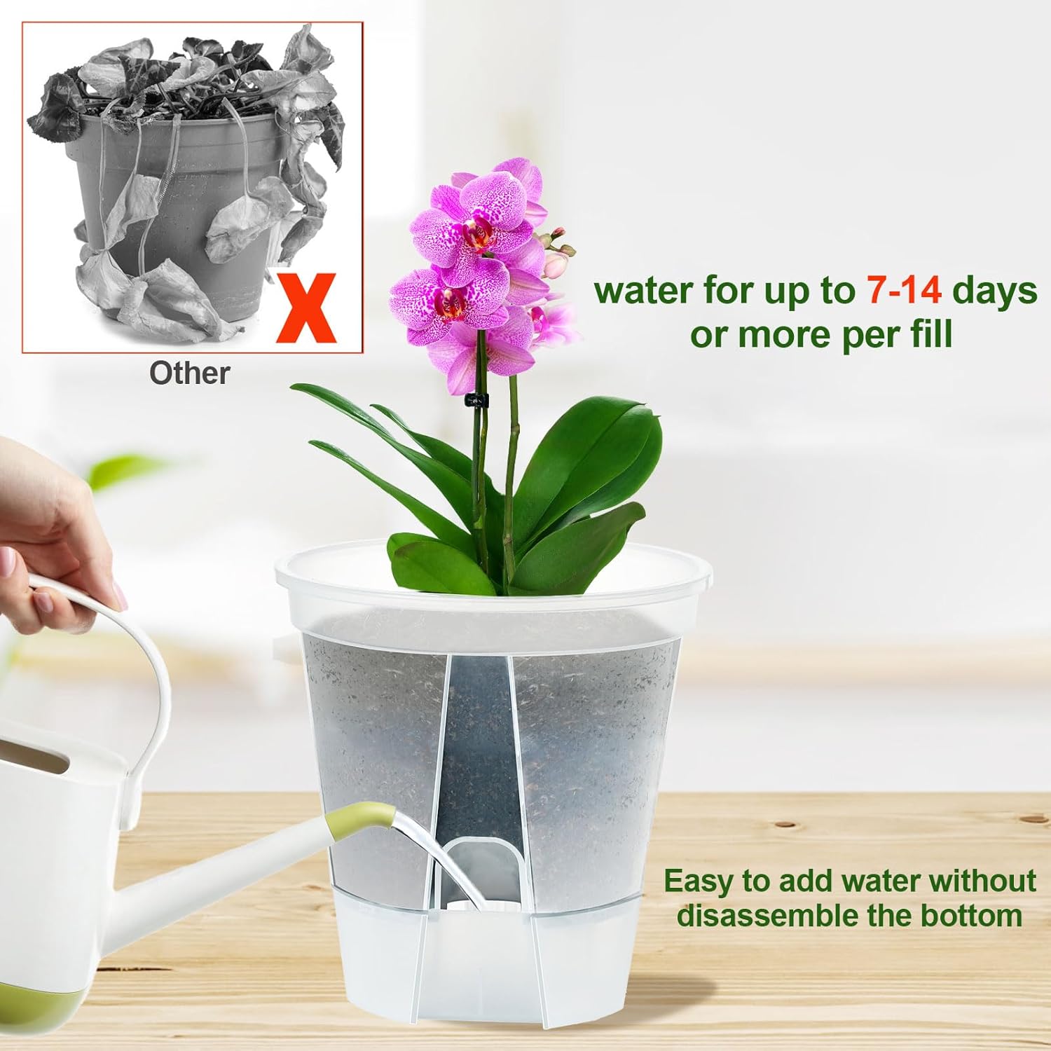 Plant Pots 6 inch Set of 5, Self Watering Pots for Indoor Outdoor, Self Watering Planters Flower Pots with Drainage Hole and Saucer Reservoir (Clear) - Image 4