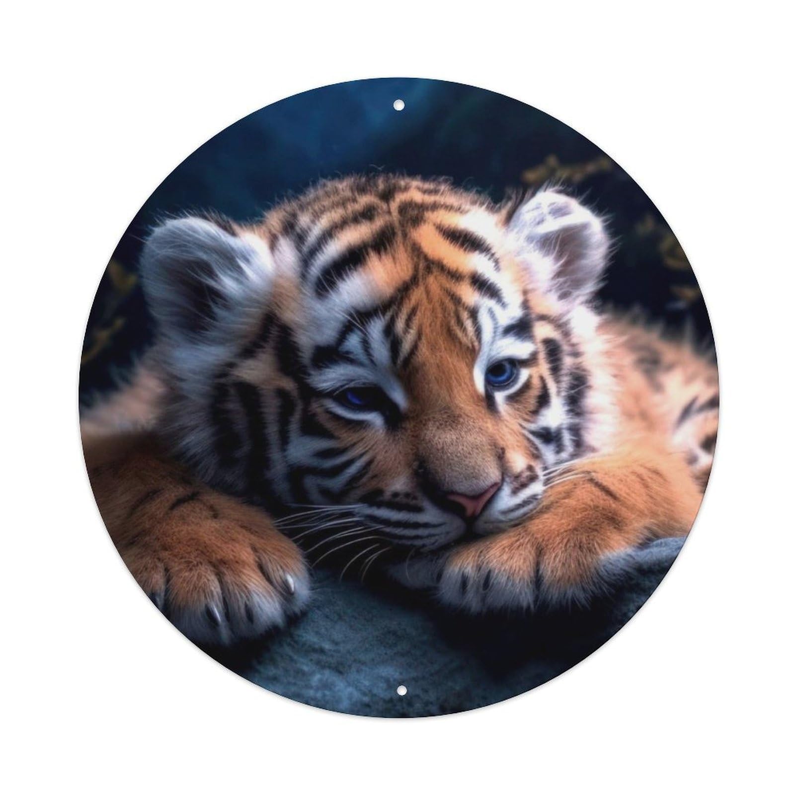 Animal Baby Tiger Moonlit Night Mountain Landscape Vintage Metal Tin Sign Plaque Wall Decor for Cafe, Club Bar, Office, Garden Metal Poster 8x8Inch