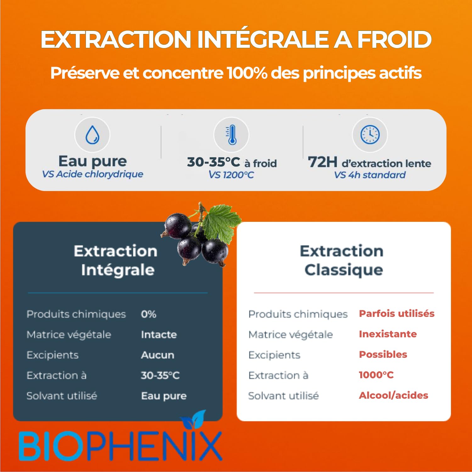 Biophénix Vitamine C Bio 100% Végétale 90 Gélules, Fatigue & Energie | Tonus et Vitalité, Procédé Exclusif Extraction Intégrale, 0% Excipient, 0% Additif, 0% Produit Chimique, Fabriqué en France