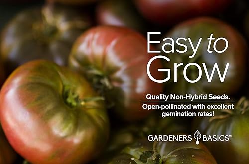 Miniatura 4 de Semillas de tomate negro Krim para plantar semillas tradicionales sin OMG para verduras de jardín casero son un gran regalo para jardinería por