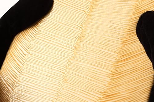 Miniatura 7 de Edoten Negro Setta Japanese Tatami Zouri Sandalias, Negro -