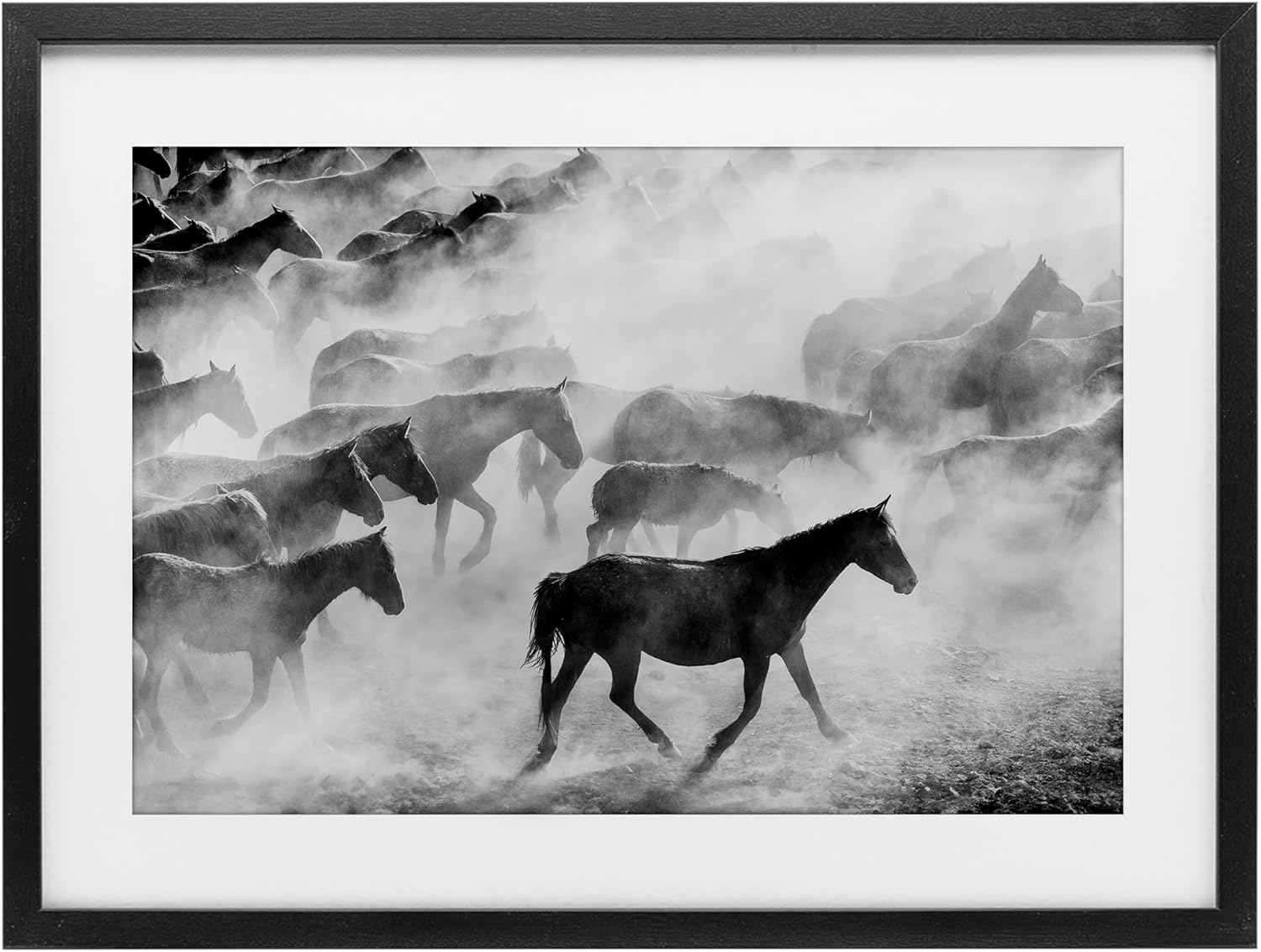 Stupell Industries Dusty Road Horse Photograph Black Framed Print Under Glass, design by Sisi and Seb, 14 x 20
