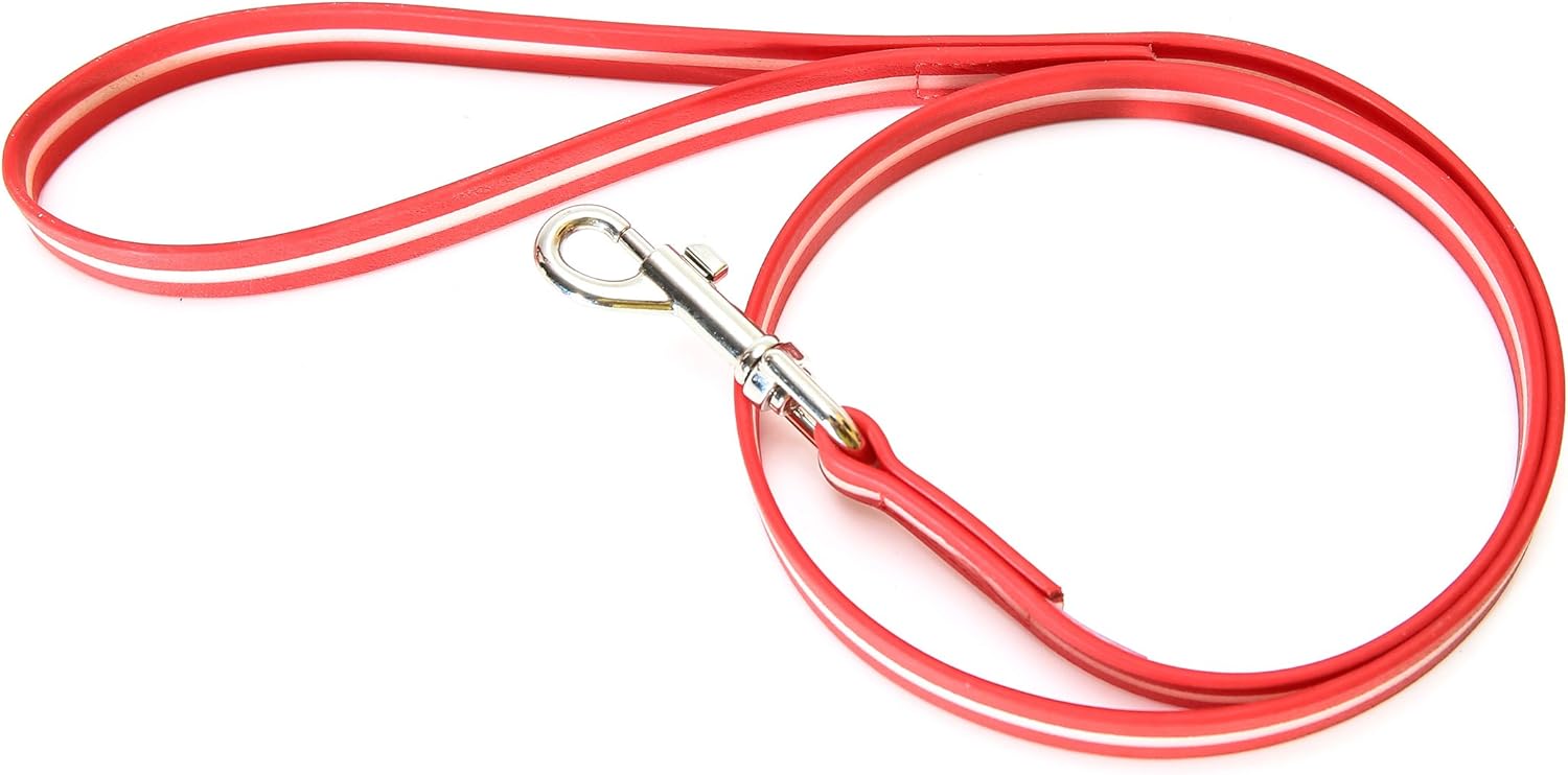 Julius-K9 IDC-Lumino Phosphorescent Leash with Handle, 0.75 in x 6.6 ft, Red