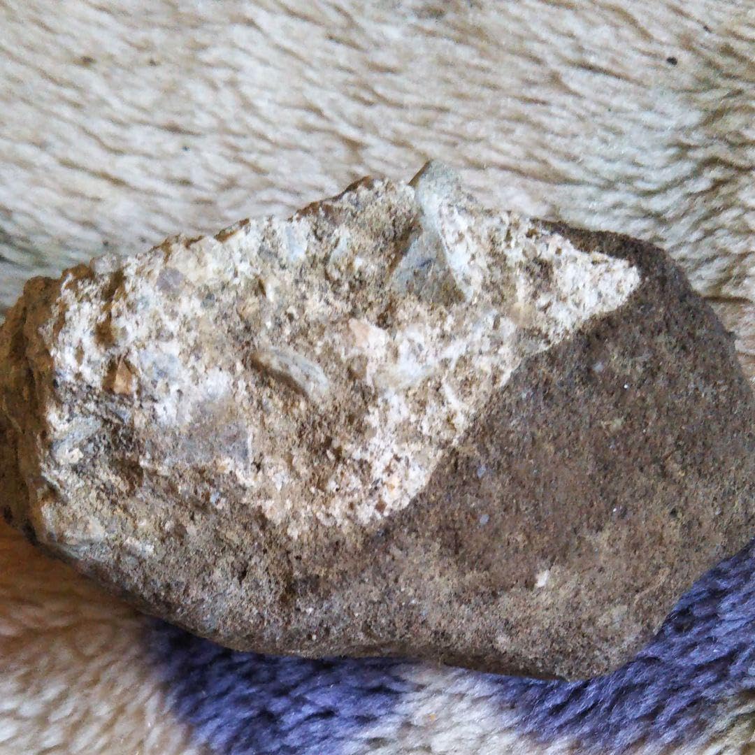 博物館職員さんからすごい高い値が付きました鉱石です！！