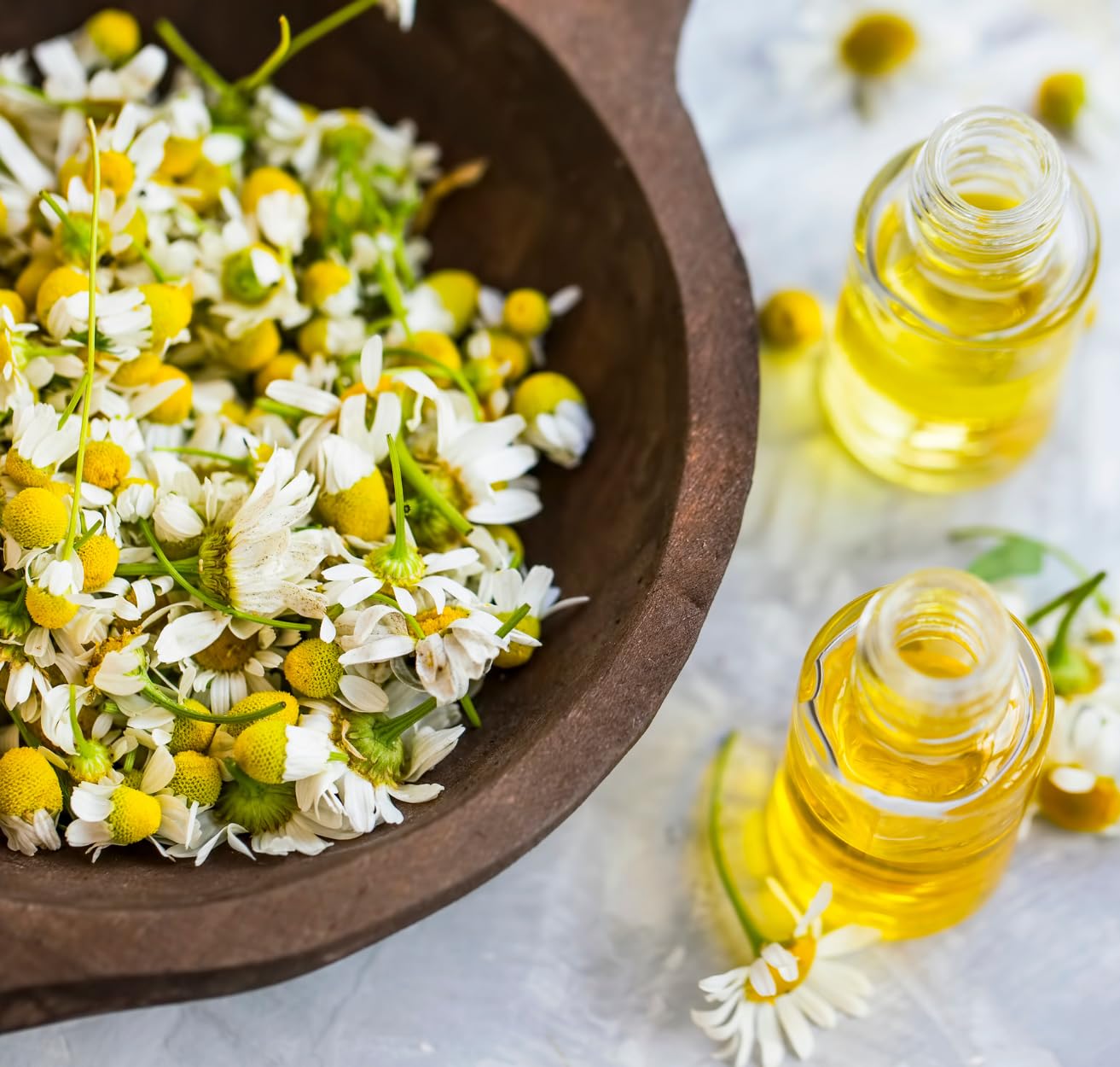 1kg Fleurs de Camomille - Infusion de Camomille - Matricaria Chamomilla - Arôme & Goût Intense - 100% Naturel, Pur et Sans Additifs | Qualité Supérieure - TazarinLtd