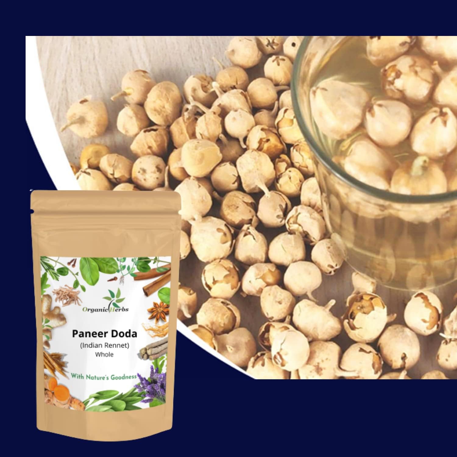 Ayurvedic Herbal Indian Rennet | Paneer Doda | Paneer ka Phool | Withania Coagulan (Indian Rennet, 1KG)
