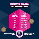 Ver la foto 6
