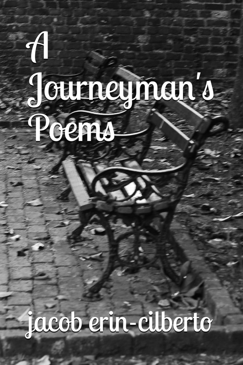 A Journeyman's Poems