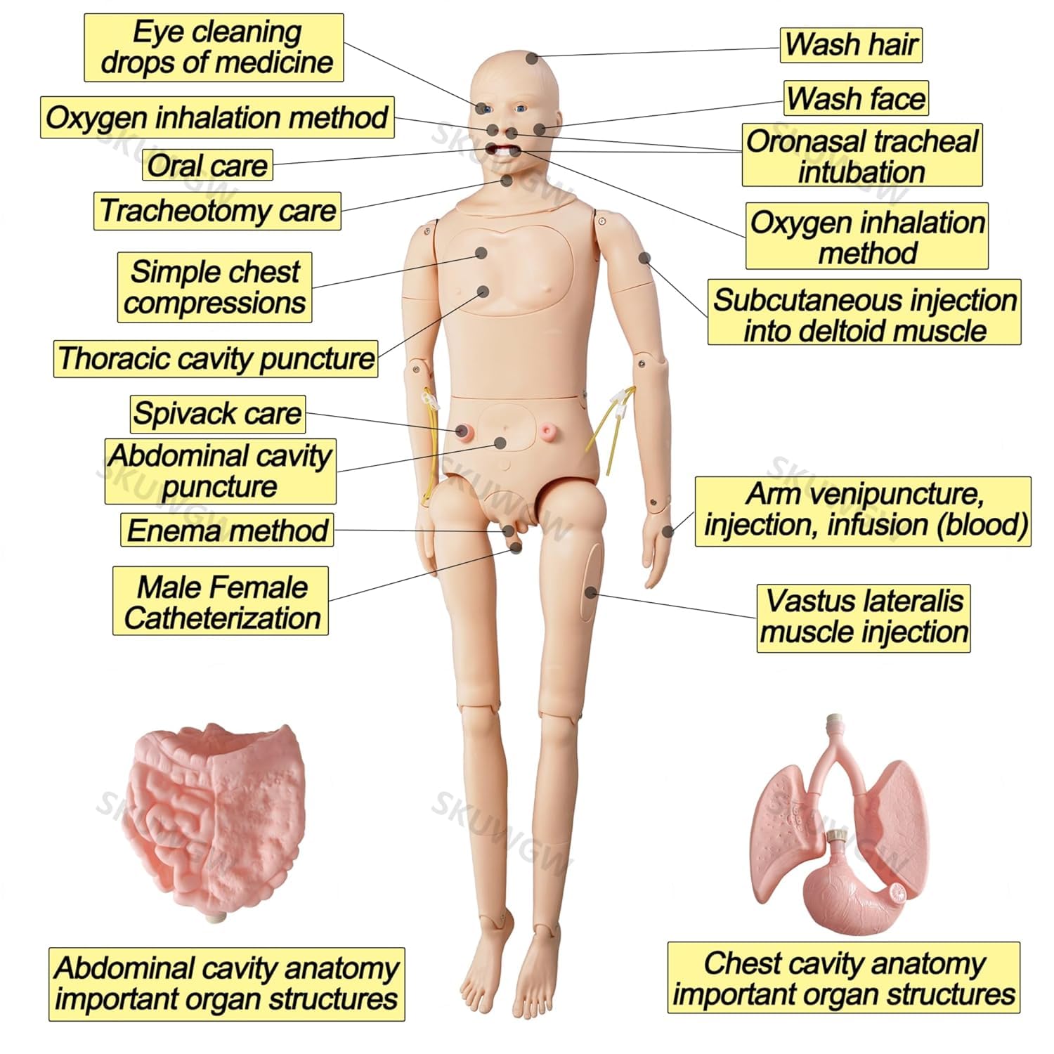 Manichino infermieristico per la formazione delle abilità di cura del paziente, modello multifunzionale con 4 moduli di cura del decubito e 8 moduli traumatologici avanzati per l'educazione medica