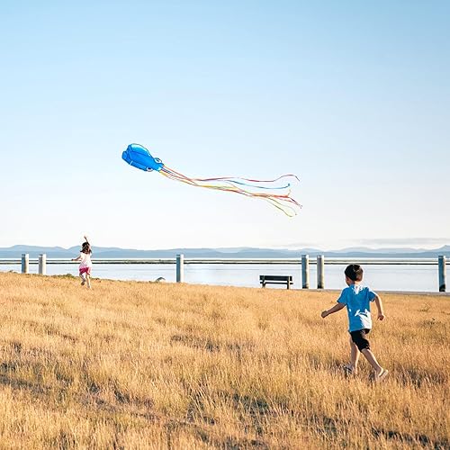 Miniatura 4 de Kaiciuss Juego de cometa de pulpo y cometa clásica Delta para niños y adultos
