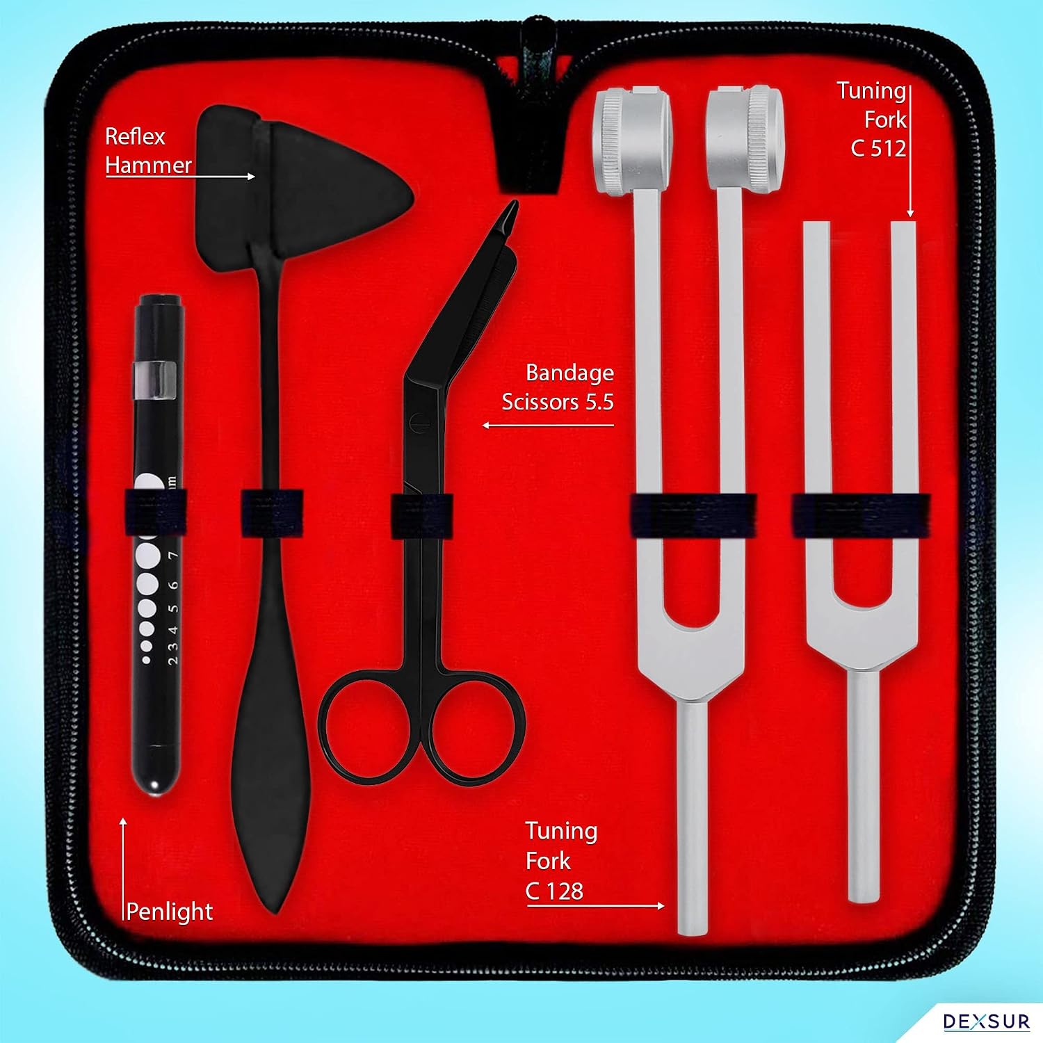 DEXSUR Diagnostics Kit - Percussion Taylor Reflex Hammer + C 128 & C 512 Tuning Forks + Bandage Scissors + Pupil Gauge Pen Light in Carrying Case - 6 Pieces Set - Black & Silver