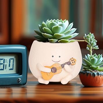 Smiley Face Planter Pot, Cute Plant Pot 4 Inch Resin Funny Planter with Drainage, Unique Plant Gifts for Women Small Succulent Face Flower Pot, Fun Teacher Appreciation Gift Plant Pots Indoor