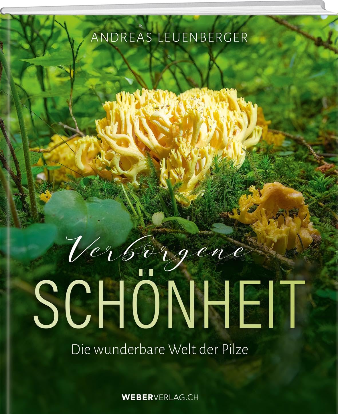 Weber Verlag Ag Verborgene Schönheit: Die Wunderbare Welt Der Pilze