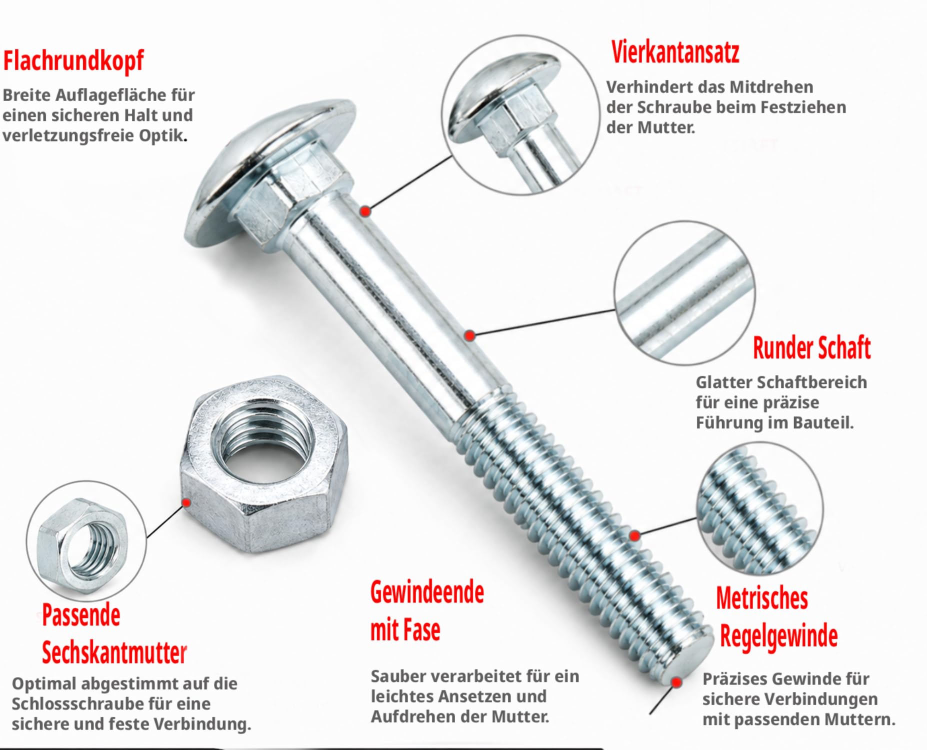 Schlossschrauben DIN 603 mit Vierkantansatz und Sechskantmutter (25 Stück, M10 x 100 mm) Stahl 4.6 galvanisch verzinkt, Flachrundkopf für Möbelbau, Innenausbau, Werkstatt und geschützte Holzprojekte