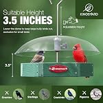 Kingsyard Platform Bird Feeder for Outdoor Hanging - Rugged Recycled Plastic Wild Bird Feeding Station with Adjustable Dome & Metal Mesh Tray. Green