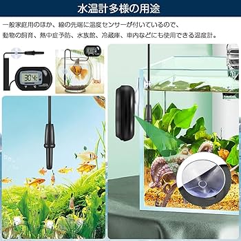 水槽セット テトラ❗️フィルター 温度計他！ Amazon | テトラ(Tetra) おさかな飼育 ぶくぶくセット SP-17BU