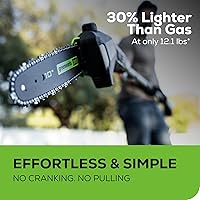 Vista 6 de Greenworks 60V sierra de poste sin cable sin escobillas de 10 pulgadas, alcance de 14.5 pies, batería de 2.0Ah y cargador