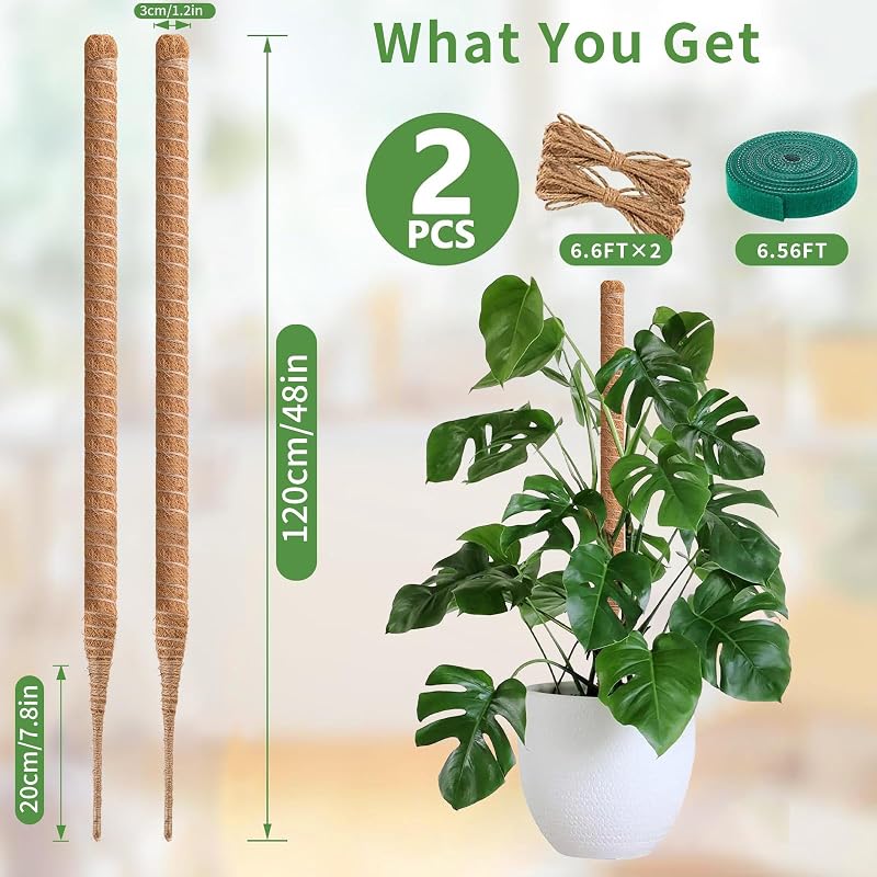 Ryhx Monstera Növénytámasz Szett - 120 cm Hajlítható Kókuszrost Karó Kúszónövényekhez, 2 db Természetes Mohaoszlop Szobanövényekhez