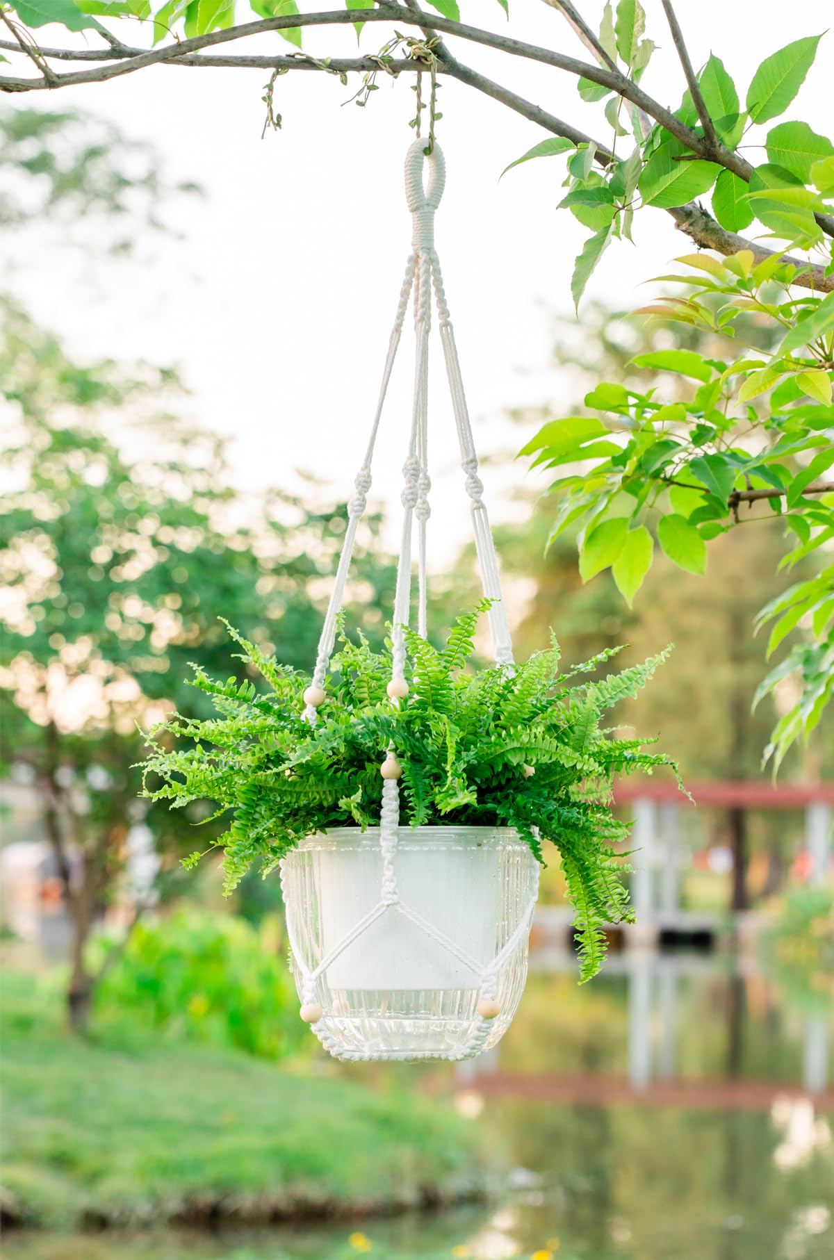 Pot De Fleurs Suspendu Auto-arrosage - 21,6 Cm, Transparent Avec Niveau D'eau Visible - 3 Crochets Inclus, Pour Intérieur Et Extérieur