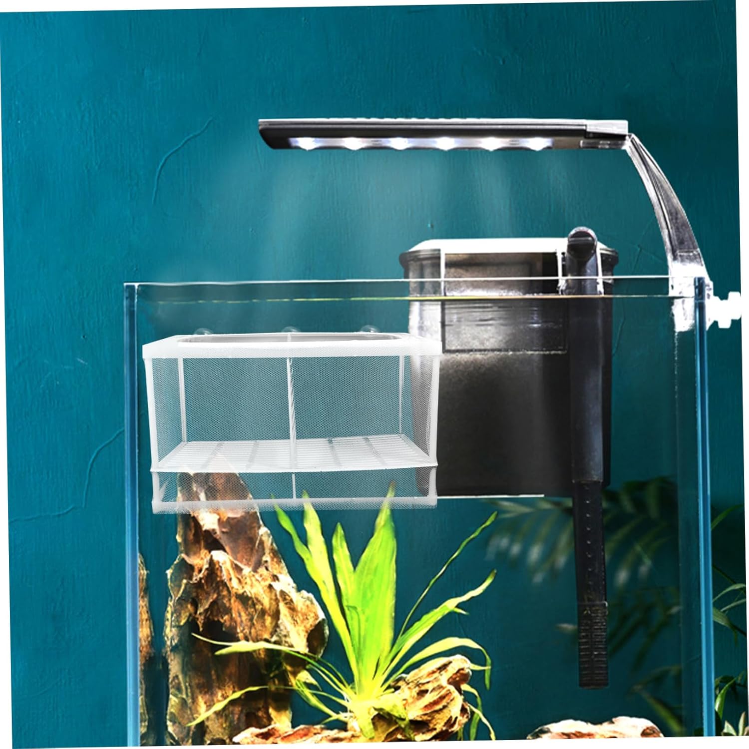 2PCS Fish Breeding Incubator Isolation Box Multifunctional Aquarium Hatchery Tank Divider Suction Cups for Breeding and Separating Fish Style