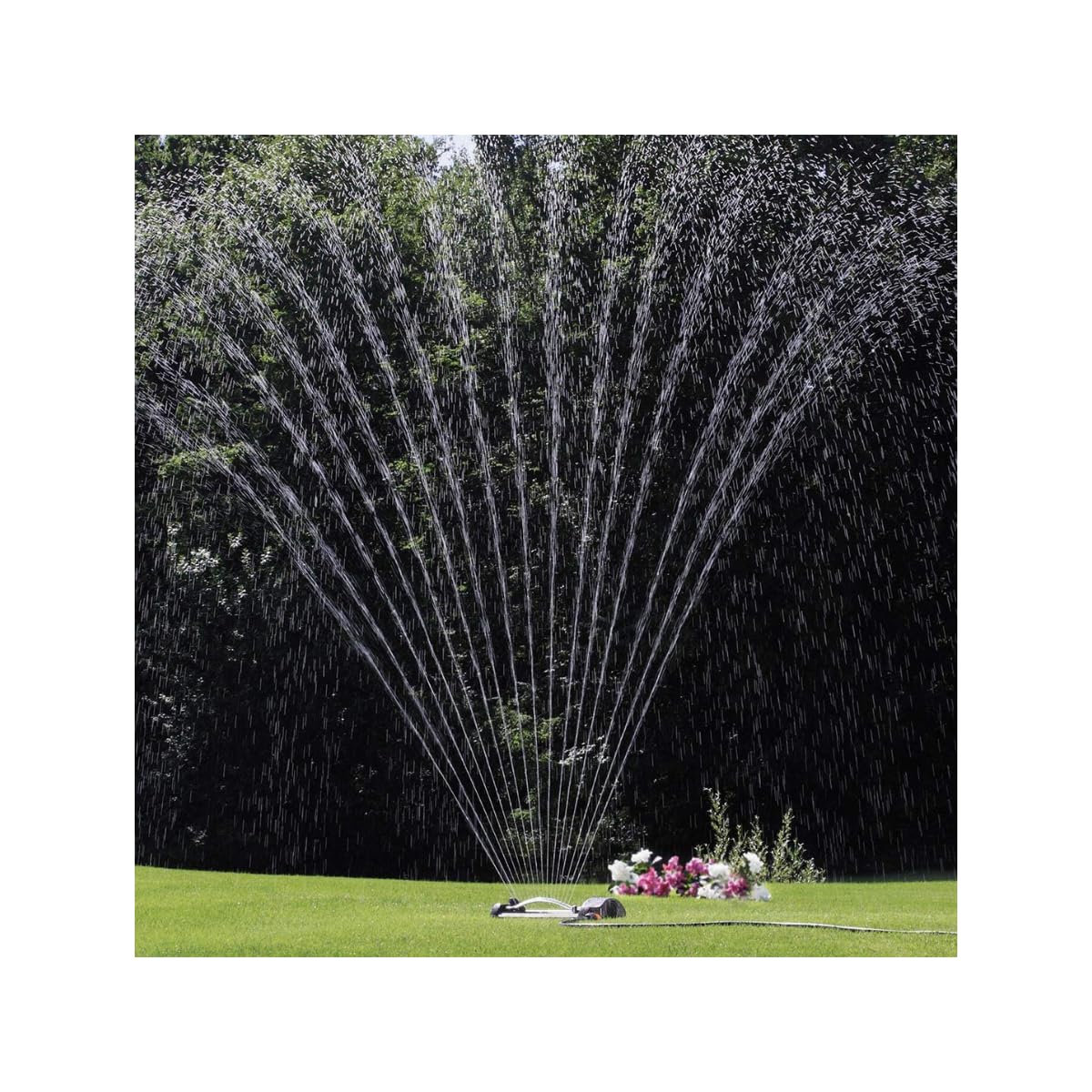 Claber 61893 8743 Compact Irrigatore Oscillante, 16 Fori, Nero | area bagnata 290 mt²
