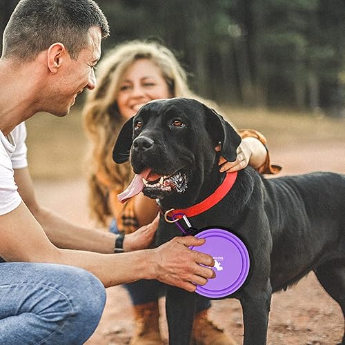 Miniatura 28 de Rest-Eazzzy Cuencos grandes plegables para perros de 33.8 fl oz, paquete de 2 cuencos de agua portátiles para perros, gatos y mascotas, plato