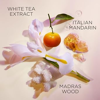 Elizabeth Arden White Tea Pure Indulgence Bath and Shower Gel, 13.54 fl oz | Gentle bath and shower gel with the crisp White Tea scent; cleanses and refreshes skin.