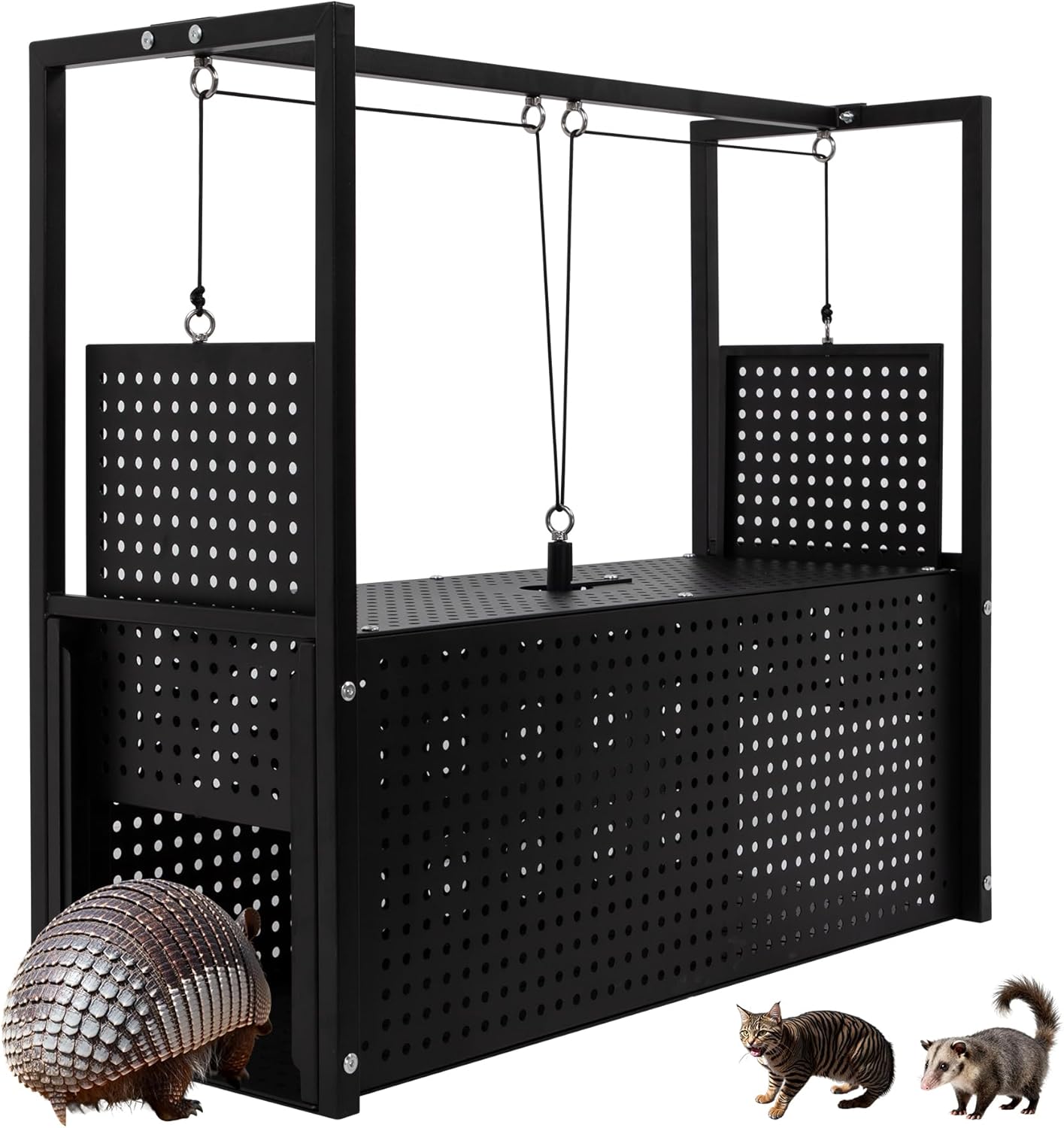 32’’ Armadillo Trap, Heavy Duty Steel Live Animal Trap, Humane Catch & Release for Armadillos, Raccoons, Cats, Skunks & Other Medium-Sized Wildlife