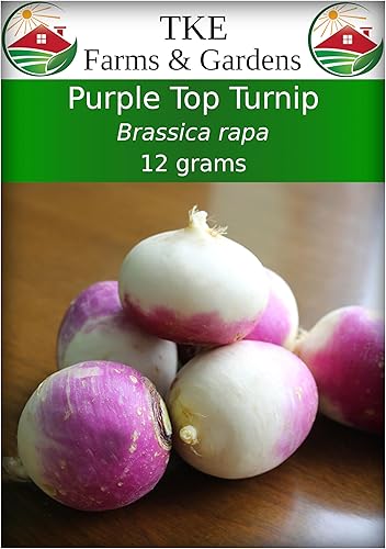 TKE Farms - Semillas de nabo moradas para plantar 042oz  5000 semillas brassica rapa