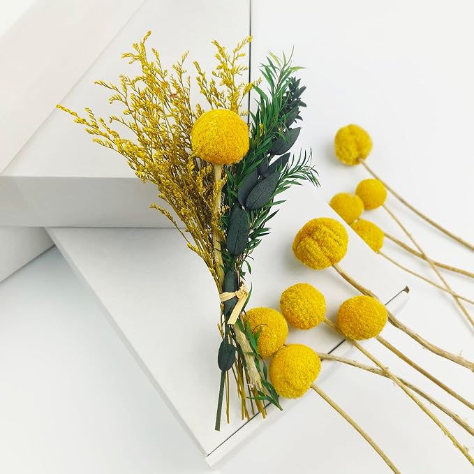 Ramo Natural Seco Billy Buttons 30 Piezas Amarillo miniatura 2