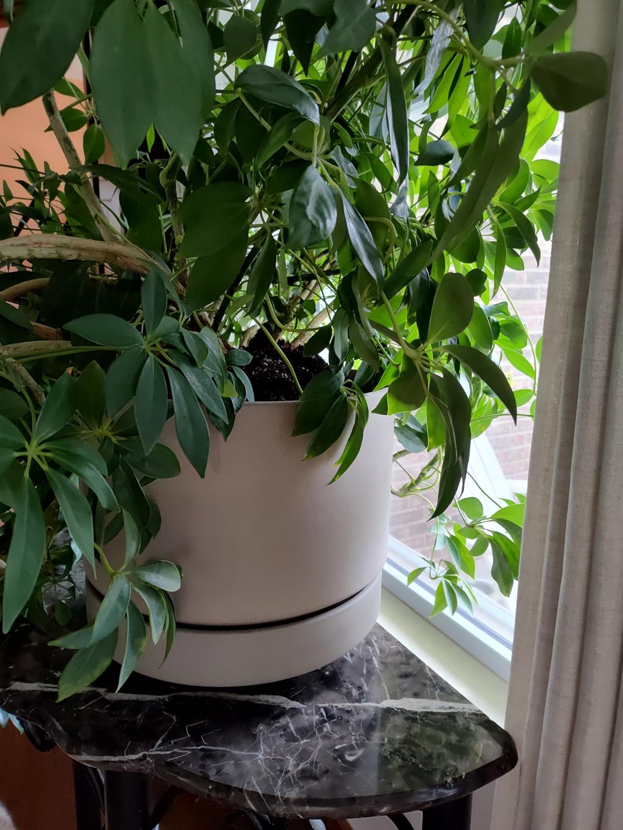 Customer photo